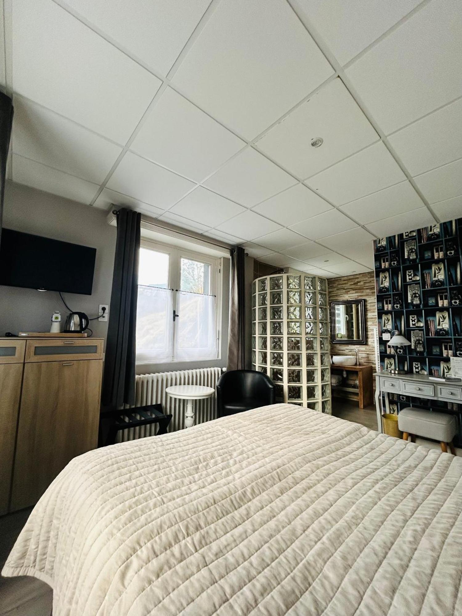 Logis Hotel L'Ayguelade ビエル エクステリア 写真