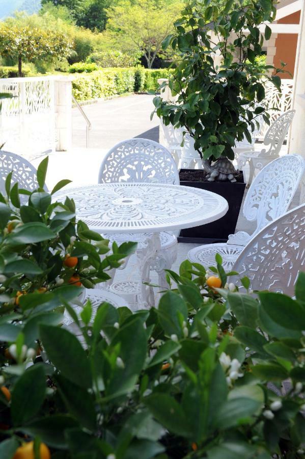 Logis Hotel L'Ayguelade ビエル エクステリア 写真
